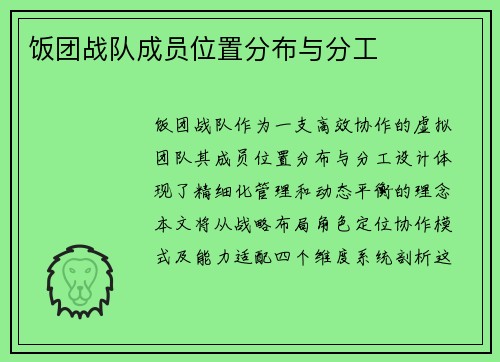 饭团战队成员位置分布与分工